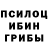 Псилоцибиновые грибы Magic Shrooms MoxHatayaJopa671games