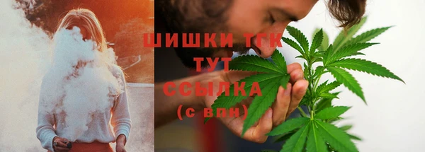 дурь Краснослободск