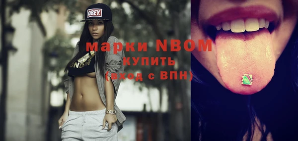 индика Куйбышев
