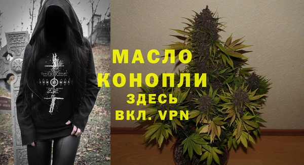 молекула духа Кулебаки
