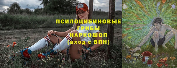 дурь Краснослободск