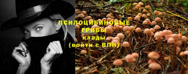 дурь Краснослободск