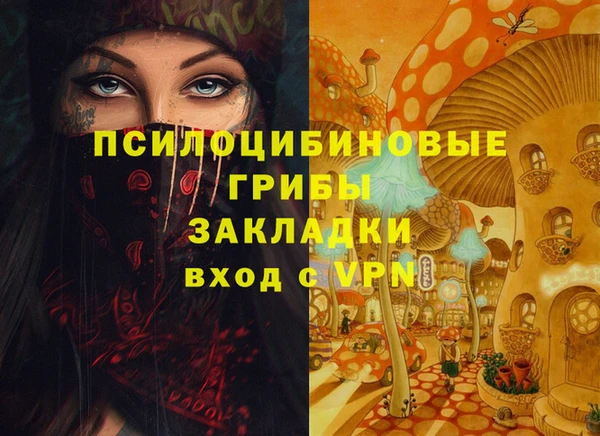 индика Куйбышев