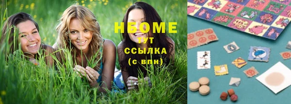 индика Куйбышев
