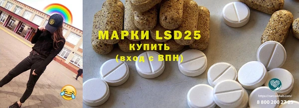 молекула духа Кулебаки