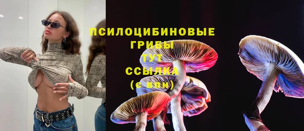 ПСИЛОЦИБИНОВЫЕ ГРИБЫ Кукмор
